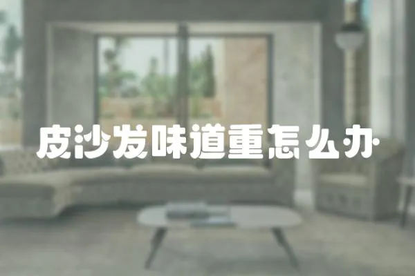 皮沙發味道重怎么辦