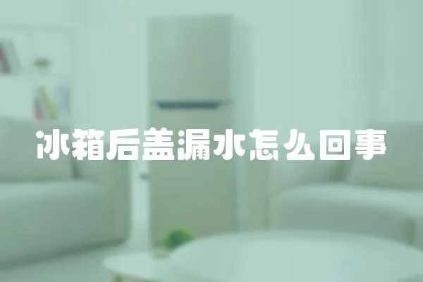 冰箱后蓋漏水怎么回事