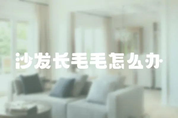 沙發(fā)長(zhǎng)毛毛怎么辦