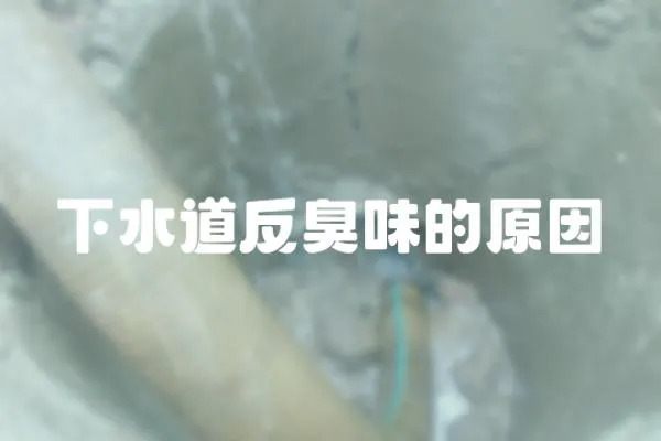 下水道反臭味的原因