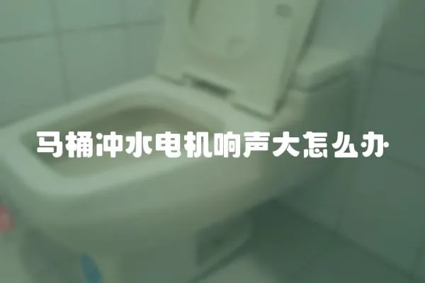 马桶冲水电机响声大怎么办