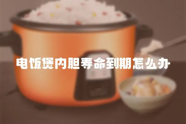 電飯煲內膽壽命到期怎么辦