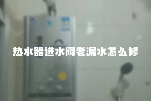 熱水器進水閥老漏水怎么修