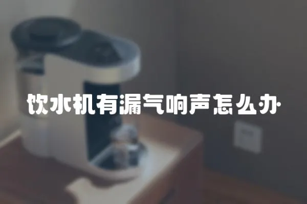 飲水機(jī)有漏氣響聲怎么辦
