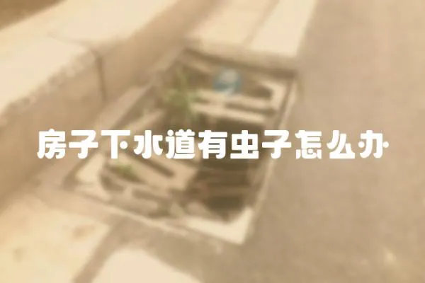 房子下水道有蟲子怎么辦