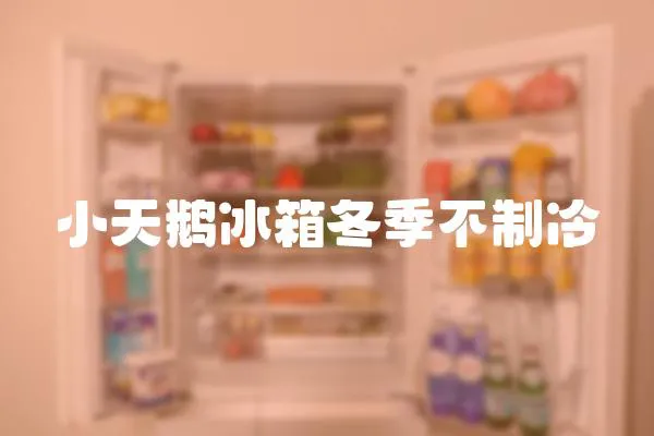 小天鵝冰箱冬季不制冷