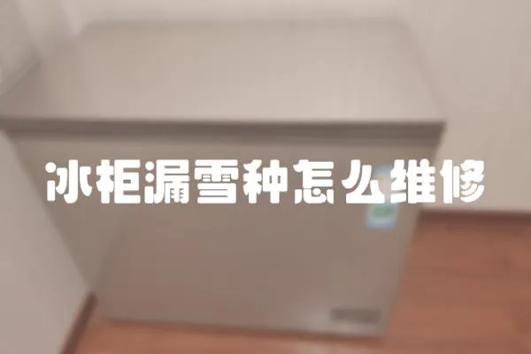 冰柜漏雪種怎么維修