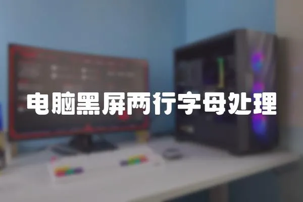 電腦黑屏兩行字母處理