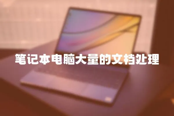 筆記本電腦大量的文檔處理