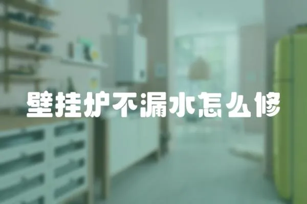 壁掛爐不漏水怎么修