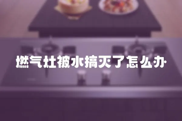 燃?xì)庠畋凰銣缌嗽趺崔k