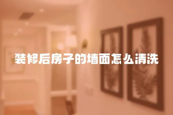 裝修后房子的墻面怎么清洗