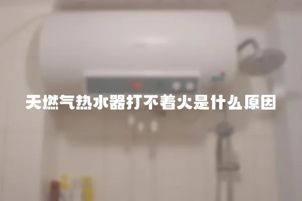 天燃氣熱水器打不著火是什么原因