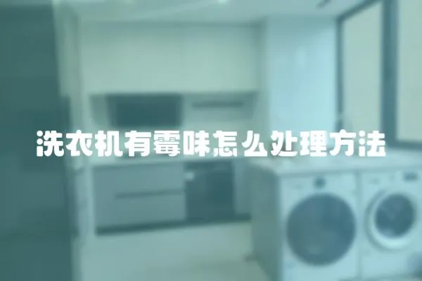 洗衣機有霉味怎么處理方法
