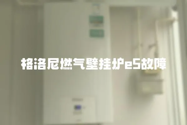 格洛尼燃?xì)獗趻鞝te5故障