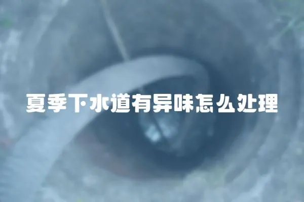 夏季下水道有異味怎么處理