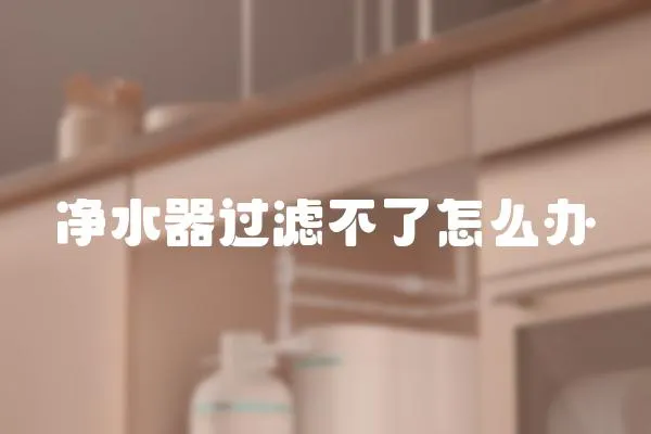 凈水器過濾不了怎么辦