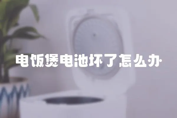 電飯煲電池壞了怎么辦