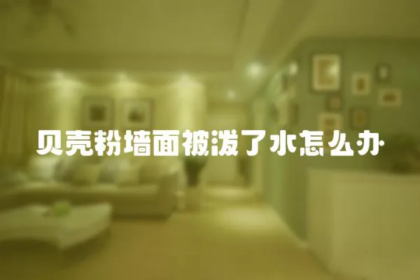 貝殼粉墻面被潑了水怎么辦