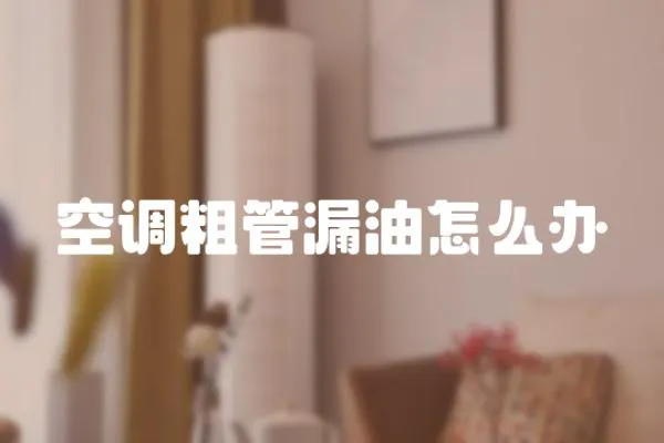 空調粗管漏油怎么辦
