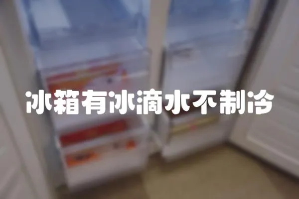 冰箱有冰滴水不制冷