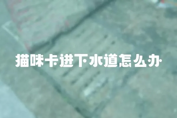 貓咪卡進下水道怎么辦