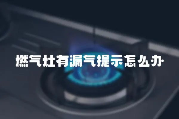 燃氣灶有漏氣提示怎么辦