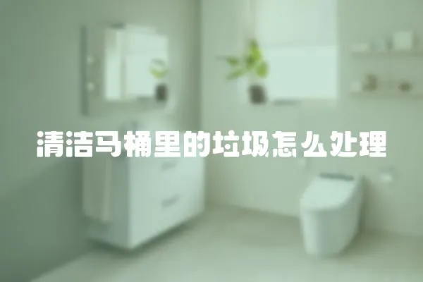 清潔馬桶里的垃圾怎么處理