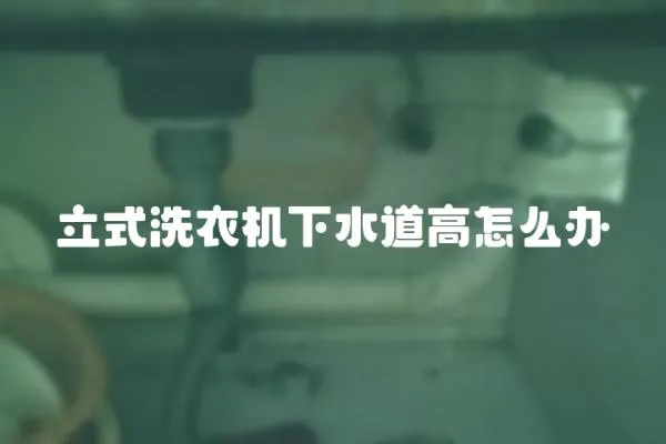 立式洗衣機下水道高怎么辦