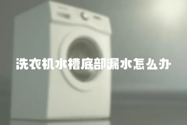 洗衣機(jī)水槽底部漏水怎么辦