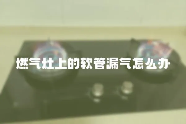 燃氣灶上的軟管漏氣怎么辦