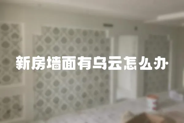 新房墻面有烏云怎么辦