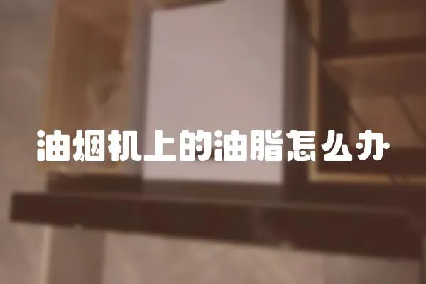 油煙機上的油脂怎么辦