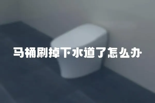馬桶刷掉下水道了怎么辦