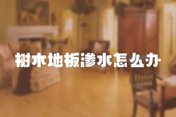樹木地板滲水怎么辦