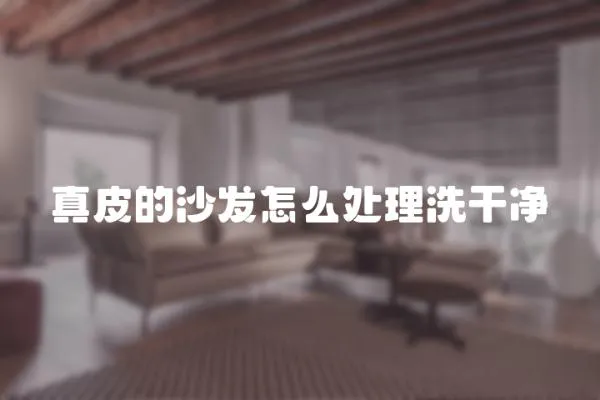真皮的沙發怎么處理洗干凈