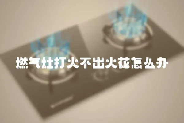 燃?xì)庠畲蚧鸩怀龌鸹ㄔ趺崔k