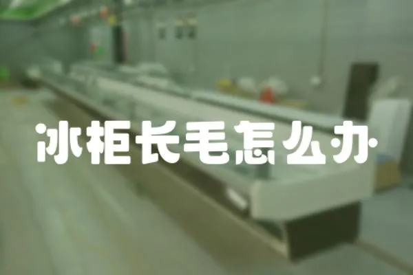 冰柜長毛怎么辦