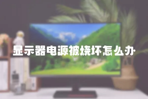 顯示器電源被燒壞怎么辦