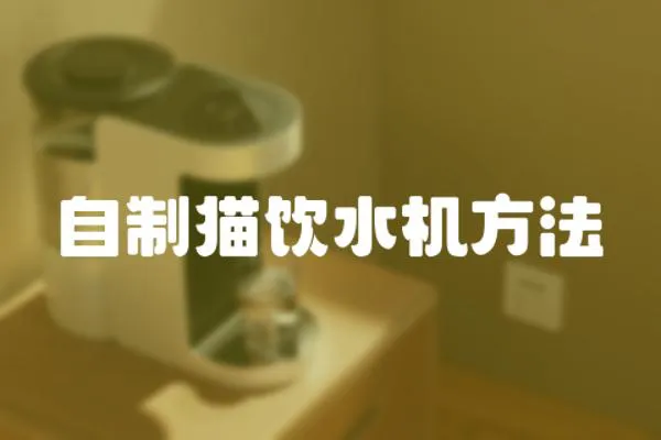 自制貓飲水機方法