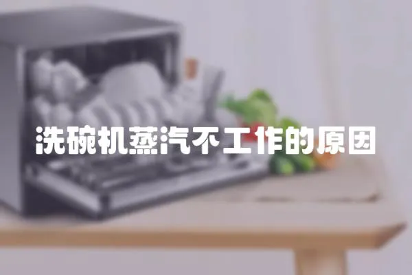 洗碗機(jī)蒸汽不工作的原因