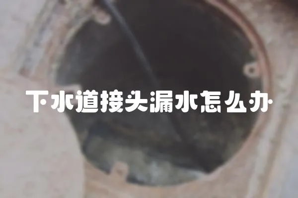 下水道接頭漏水怎么辦