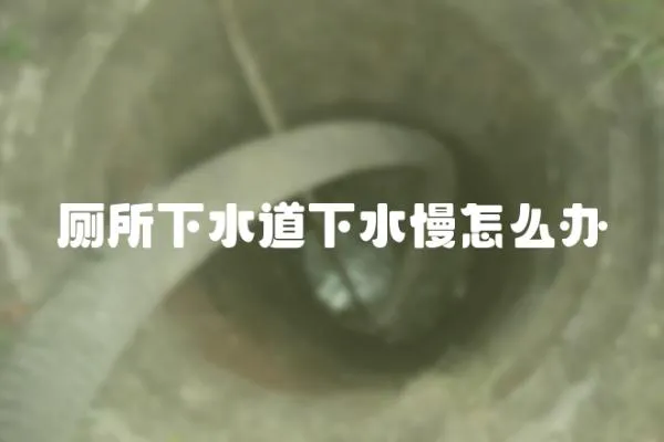 廁所下水道下水慢怎么辦