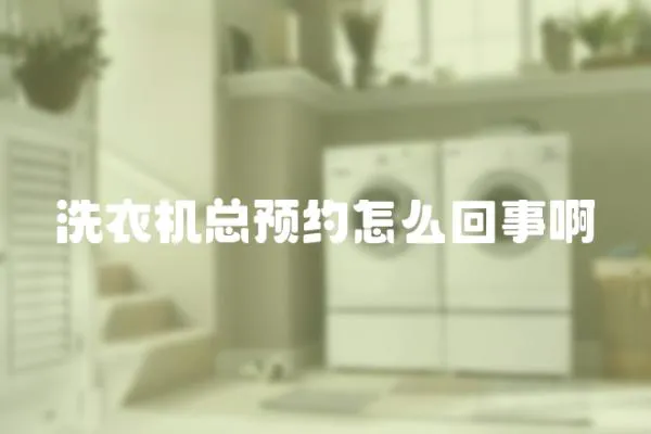洗衣機總預約怎么回事啊