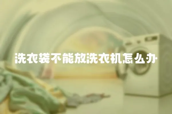 洗衣袋不能放洗衣機怎么辦