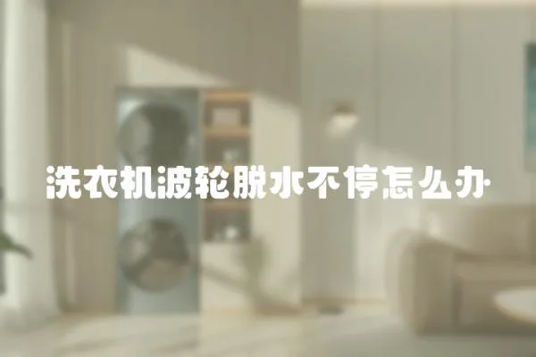 洗衣機波輪脫水不停怎么辦
