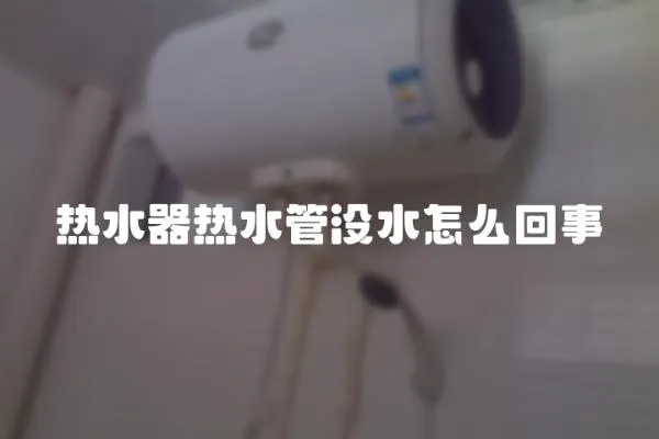 熱水器熱水管沒水怎么回事