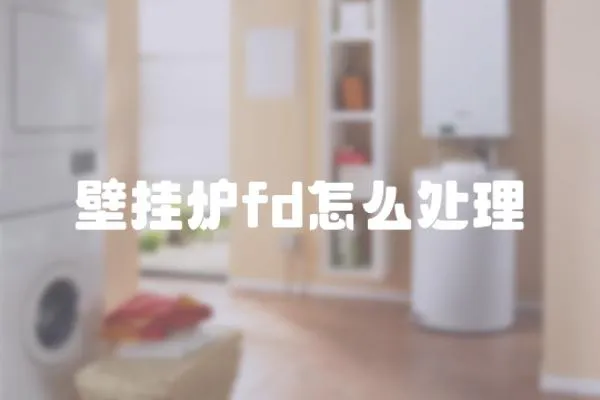 壁掛爐fd怎么處理