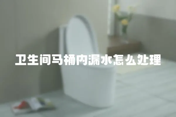 衛生間馬桶內漏水怎么處理