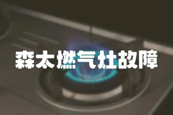 森太燃氣灶故障